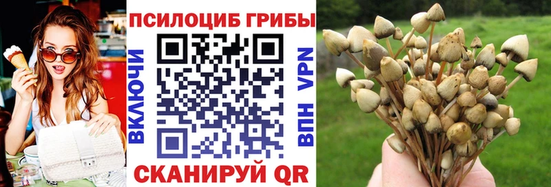площадка какой сайт  Алапаевск  Псилоцибиновые грибы мухоморы 