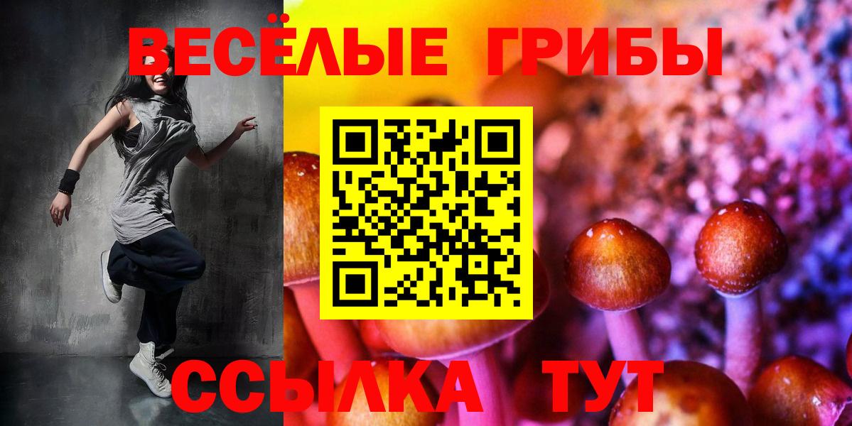 Галлюциногенные грибы ЛСД Алапаевск