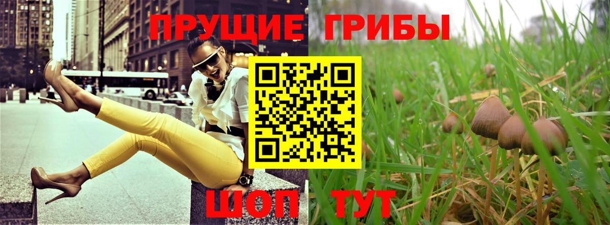 Галлюциногенные грибы ЛСД  Вход с VPN  купить наркотики цена  Алапаевск 