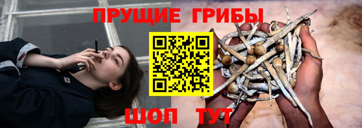Псилоцибиновые грибы MAGIC MUSHROOMS  Псилоцибиновые грибы мухоморы  Алапаевск 