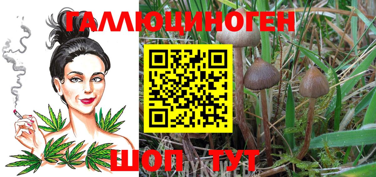 Меф кристаллы  Бошки Шишки  Меф МЯУ МЯУ кристаллы  Алапаевск  Бошки Шишки  Гашиш  ГАШИШ 